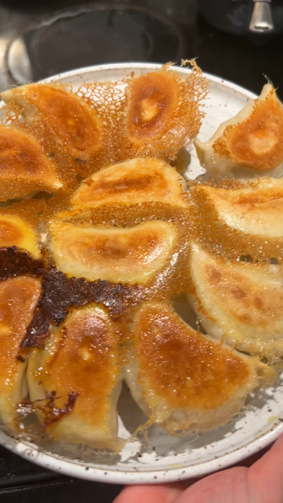 potstickers with crispy skirt