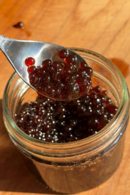 balsamic “caviar” (bougie on a budget)